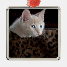 Cream Kitten met mooie blauwe ogen Metalen Ornament