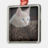 Cream Kitten met mooie blauwe ogen Metalen Ornament (Links)