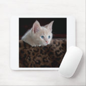 Cream Kitten met mooie blauwe ogen Muismat (Met muis)