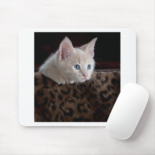 Cream Kitten met mooie blauwe ogen Muismat (Met muis)