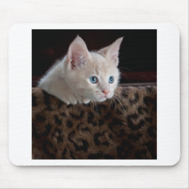 Cream Kitten met mooie blauwe ogen Muismat