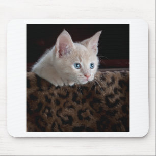 Cream Kitten met mooie blauwe ogen Muismat