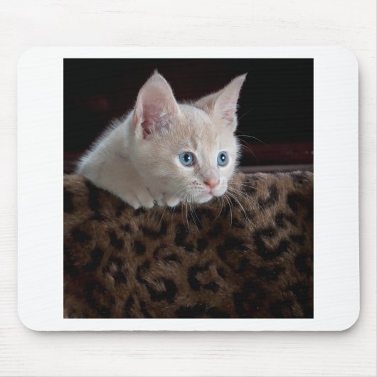 Cream Kitten met mooie blauwe ogen Muismat (Voorkant)
