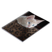 Cream Kitten met mooie blauwe ogen Notitieboek (Linkerzijde)