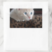 Cream Kitten met mooie blauwe ogen Rechthoekige Sticker (Tas)