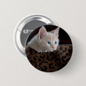 Cream Kitten met mooie blauwe ogen Ronde Button 5,7 Cm (Voorkant /achterkant)