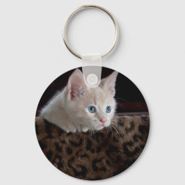 Cream Kitten met mooie blauwe ogen Sleutelhanger