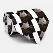 Cream Kitten met mooie blauwe ogen Stropdas (Opgerold)