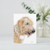 Cream Labradoodle Briefkaarten (Staand voorkant)