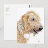 Cream Labradoodle Briefkaarten (Voorkant / Achterkant)