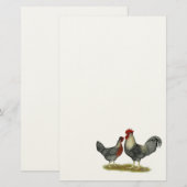 Cream Legbar-kippen Briefpapier (Voorkant / Achterkant)