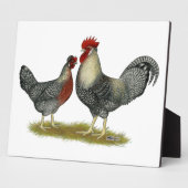 Cream Legbar-kippen Fotoplaat (Zijkant)