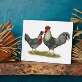 Cream Legbar-kippen Fotoplaat (Zijkant)