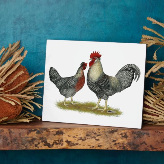 Cream Legbar-kippen Fotoplaat (Zijkant)