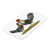 Cream Legbar-kippen Magneet (Linkerzijde)