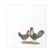 Cream Legbar-kippen Notitieblok (Voorkant)