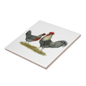 Cream Legbar-kippen Tegeltje (Zijkant)