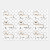 Cream Long Hair Dachshund Cute Dog Pattern & Paws Inpakpapier Vel (Voorkant)