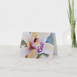 Cream Pink Orchid uit de tuin van Gertie Kaart