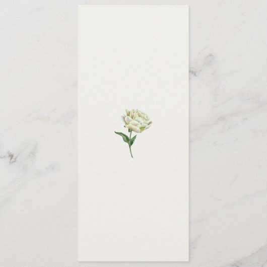 Cream Pioenrozen Waterverf Bloemenmenu's Menu (Achterkant)