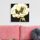 Cream Poppy-ventilator op zwarte achtergrond Canvas Afdruk (Insitu (Woonkamer))