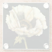 Cream Poppy-ventilator op zwarte achtergrond Glazen Onderzetter (Achterkant)