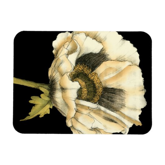 Cream Poppy-ventilator op zwarte achtergrond Magneet (Horizontaal)