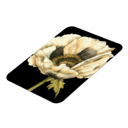 Cream Poppy-ventilator op zwarte achtergrond Magneet (Linkerzijde)