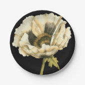 Cream Poppy-ventilator op zwarte achtergrond Papieren Bordje (Voorkant)