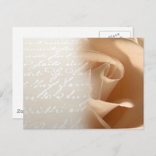 Cream Roos Wedding Customize Briefkaart (Voorkant / Achterkant)