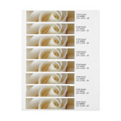 Cream Roos Wedding Photo (Vel)