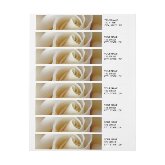 Cream Roos Wedding Photo (Vel)