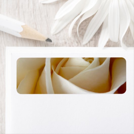 Cream Roos Wedding Photo Etiket (Insitu)