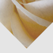 Cream Roos Wedding Photo Tissuepapier (Detail)