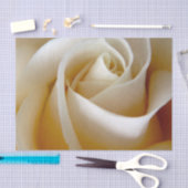 Cream Roos Wedding Photo Tissuepapier (Craft)