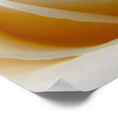 Cream Rose Trouwfoto Poster (Hoek)