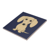 Cream Short Haire Dachshund Tegeltje (Zijkant)