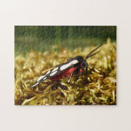Cream spot Tiger Moth Photo Puzzle with Gift Box Legpuzzel