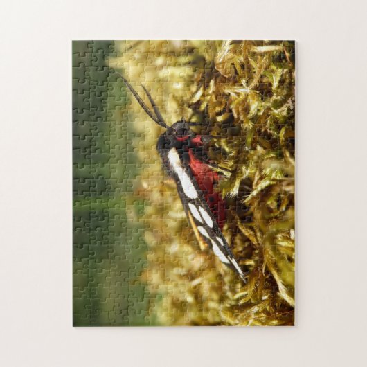 Cream spot Tiger Moth Photo Puzzle with Gift Box Legpuzzel (Verticaal)