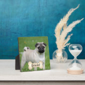 Cream Tone Bone met de naam en foto van het pakket Fotoplaat (Insitu)