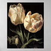 Cream Tulip Flowers Art Print Poster (Voorkant)