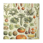  Cream Vegetables Pattern Tegeltje (Voorkant)