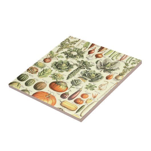  Cream Vegetables Pattern Tegeltje (Zijkant)