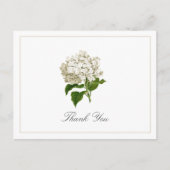 Cream White Hydrangea Bloom Traditional Thank You Briefkaart (Voorkant)