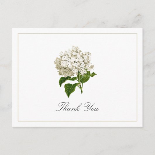 Cream White Hydrangea Bloom Traditional Thank You Briefkaart (Voorkant)