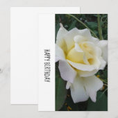 Cream White Rose Birthday Kaart (Voorkant / Achterkant)