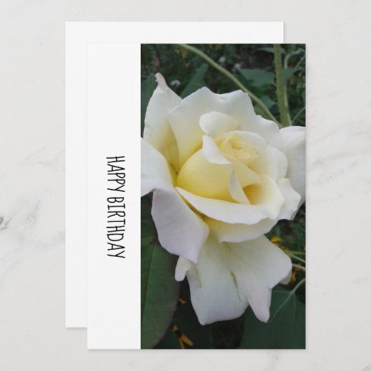 Cream White Rose Birthday Kaart (Voorkant / Achterkant)