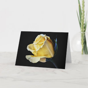 Cream Yellow Rose Flower Art Note Kaart
