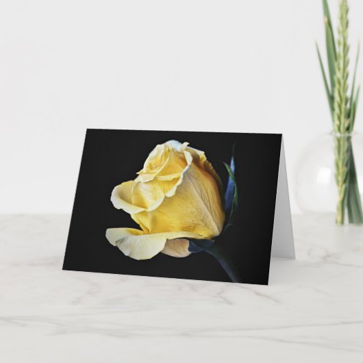 Cream Yellow Rose Flower Art Note Kaart (Voorkant)