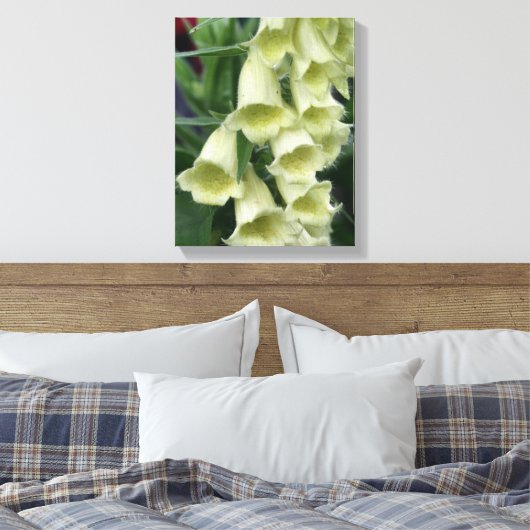 Creamy Foxglove Flower Canvas Afdruk (Insitu (Slaapkamer))